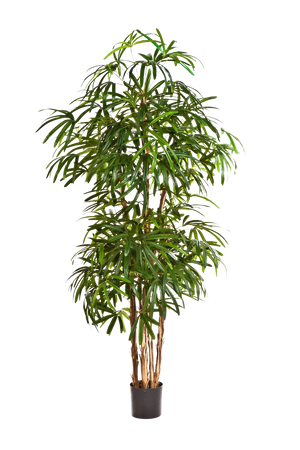 Palmera artificial - Nela | 200 cm