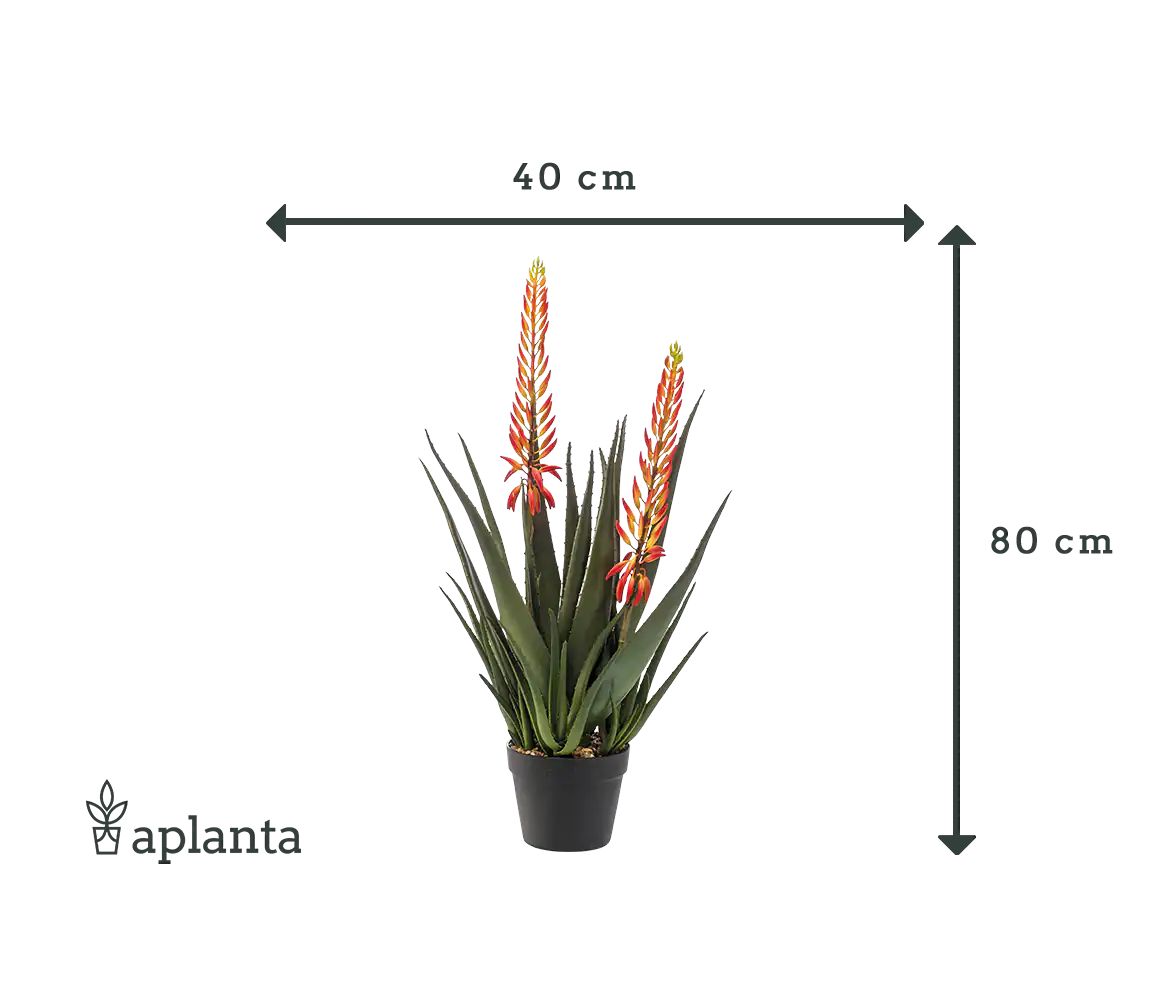 Aloe artificial - Paulina | 80 cm