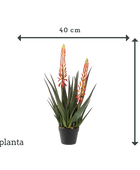 Aloe artificial - Paulina | 80 cm