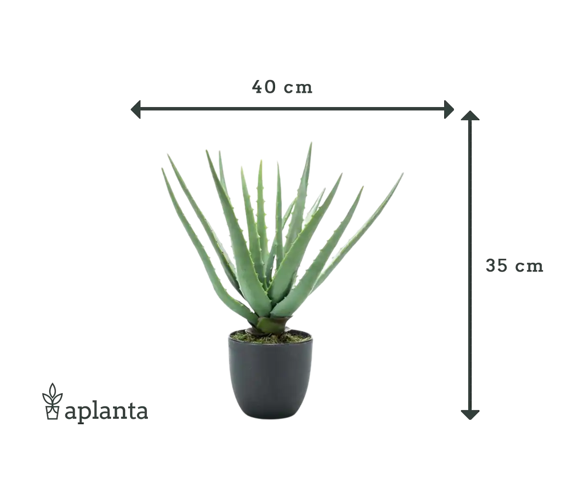 Aloe artificial - Penelope | 35 cm