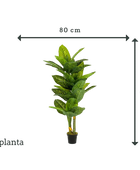 Dieffenbachia artificial - Milena | 175 cm