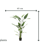 Heliconias artificiales - Frida | 175 cm