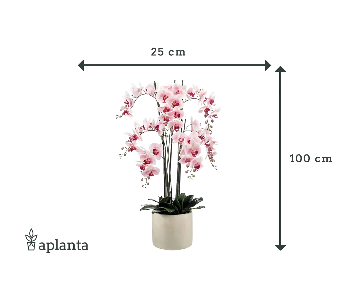 Orquídea artificial - Leo | 100 cm