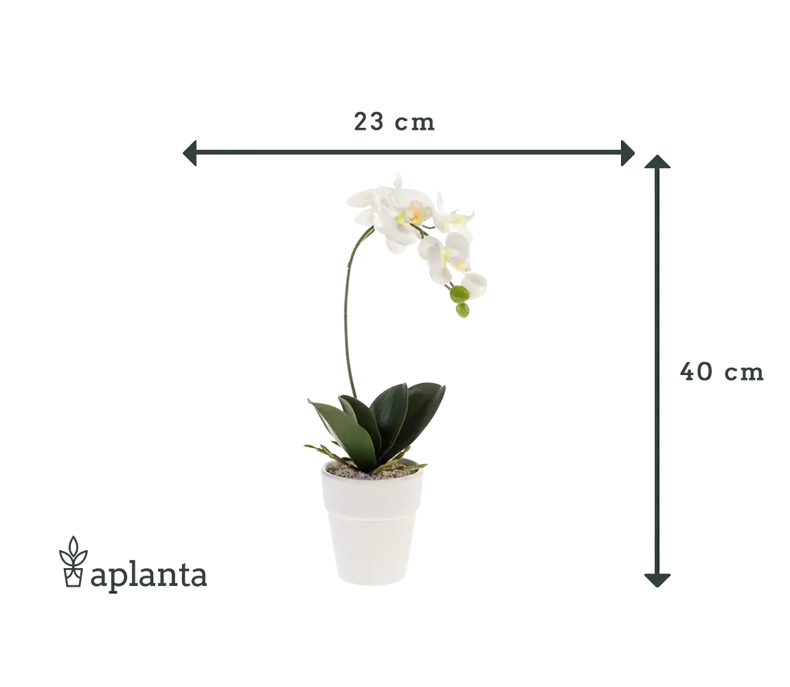 Orquídea artificial - Linus | 40 cm