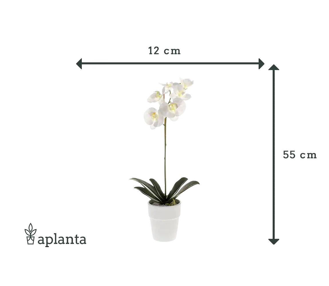 Orquídea artificial - Linus | 55 cm