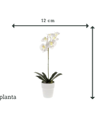 Orquídea artificial - Linus | 55 cm