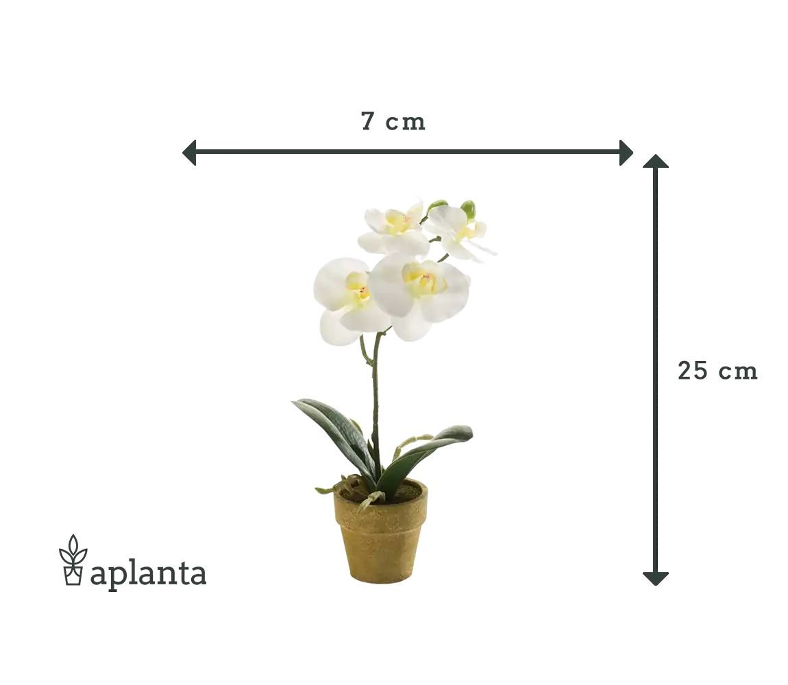 Orquídea artificial - Louisa | 25 cm