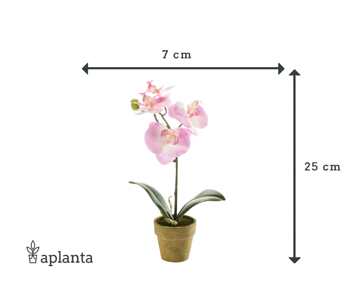 Orquídea artificial - Lynn | 25 cm
