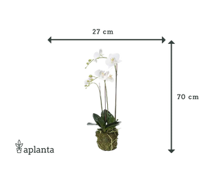 Orquídea artificial - Marie | 70 cm