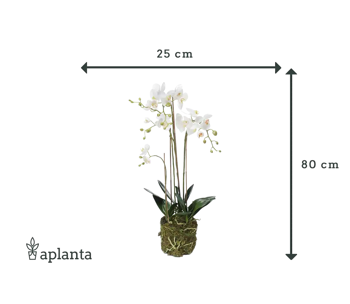 Orquídea artificial - Marie | 80 cm