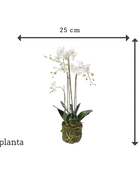 Orquídea artificial - Marie | 80 cm