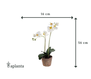 Orquídea artificial - Nika | 56 cm