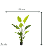 Strelitzia artificial - Colin | 150 cm