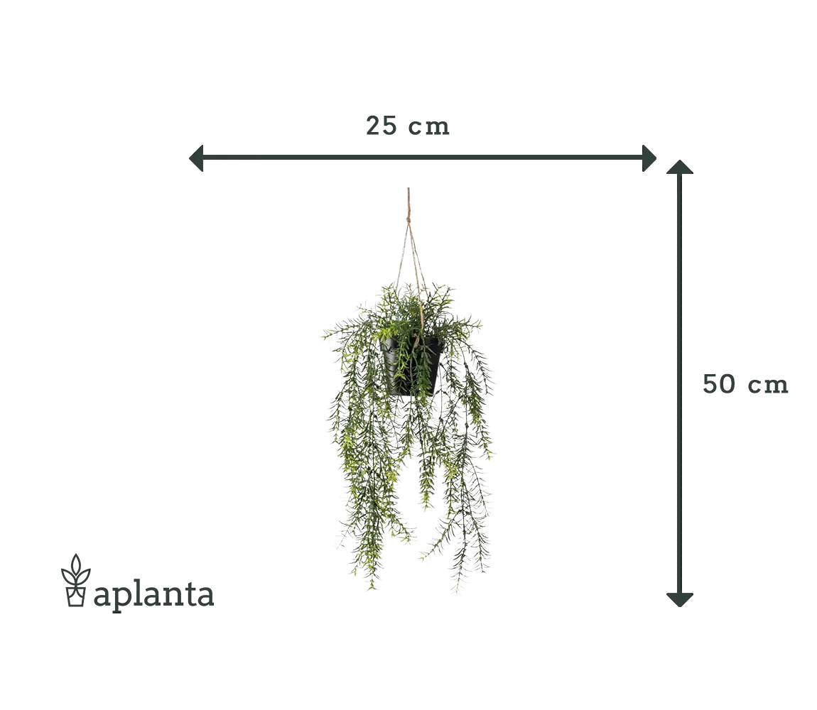 Espárrago ornamental artificial colgante - Kilian | 50 cm