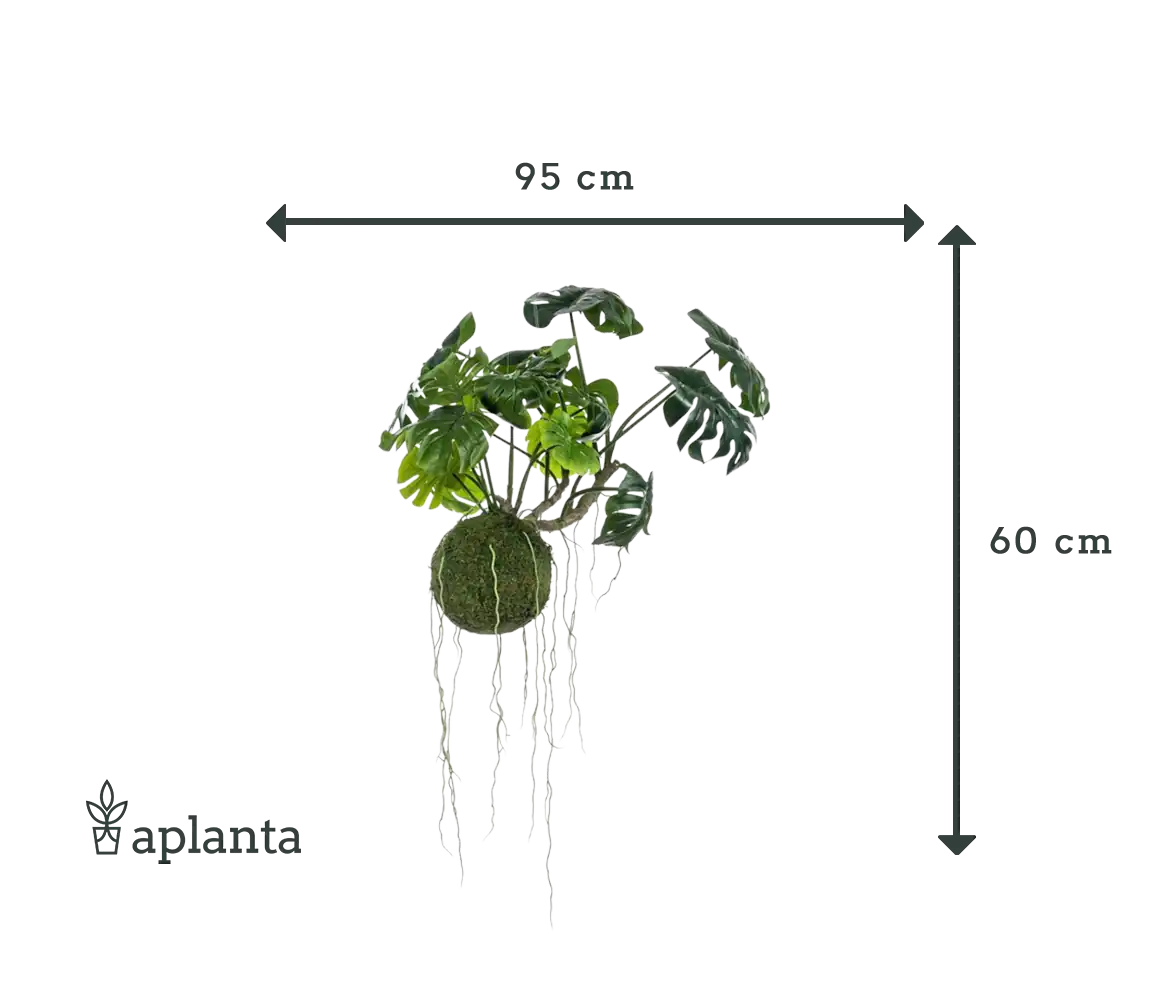 Bola de musgo artificial colgante monstera - Julian | 60 cm