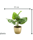 Arbusto artificial de monstera - Lotte | 30 cm