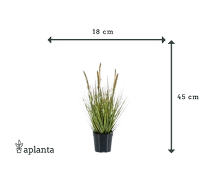 Lámpara artificial limpiador hierba - Paulin | 45 cm