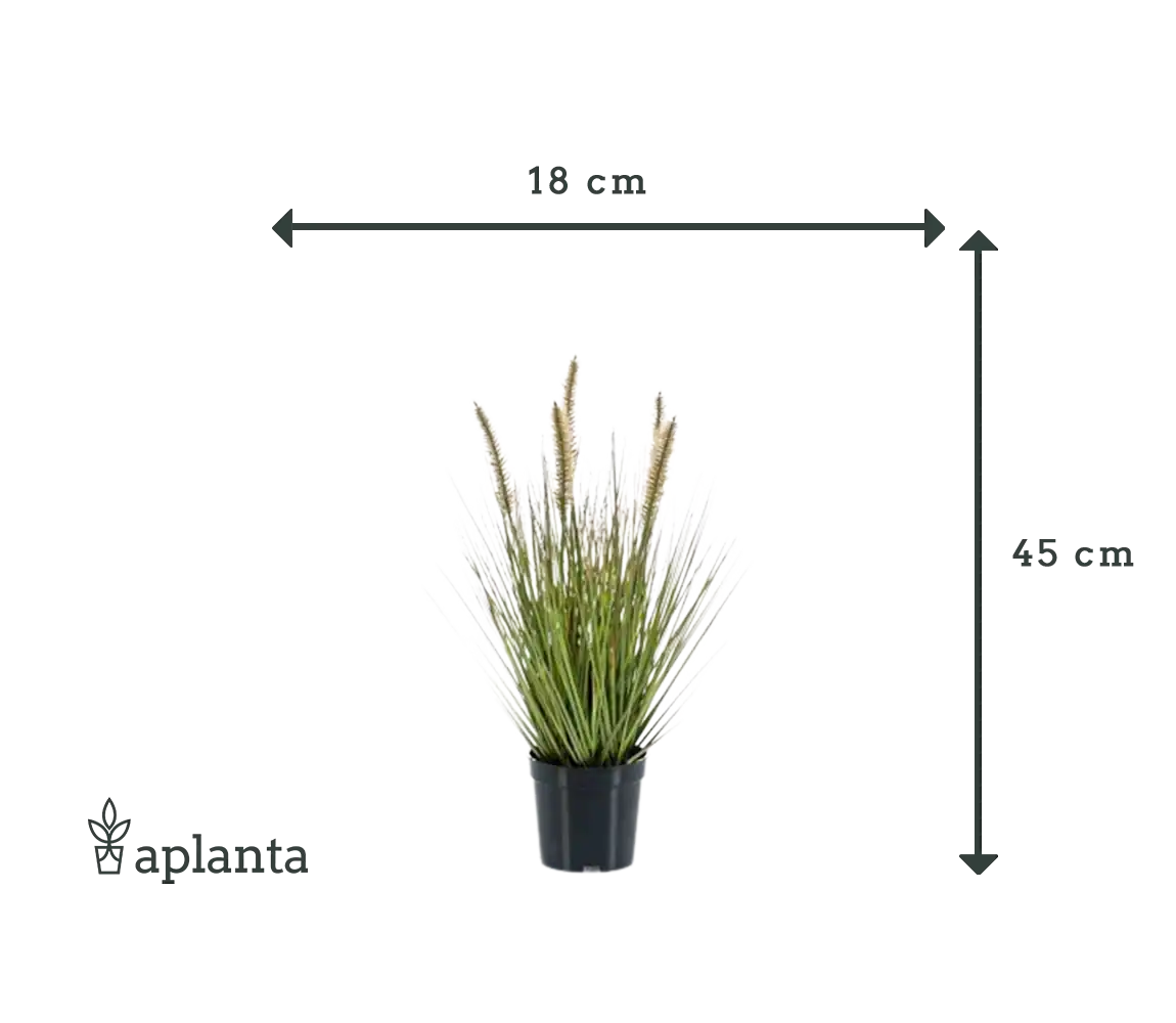 Lámpara artificial limpiador hierba - Paulin | 45 cm