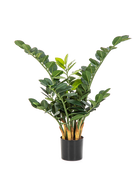 Planta de ensayo Cindy